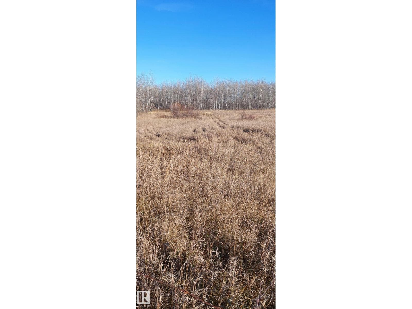 40 23429 584 twp RD — photo 5