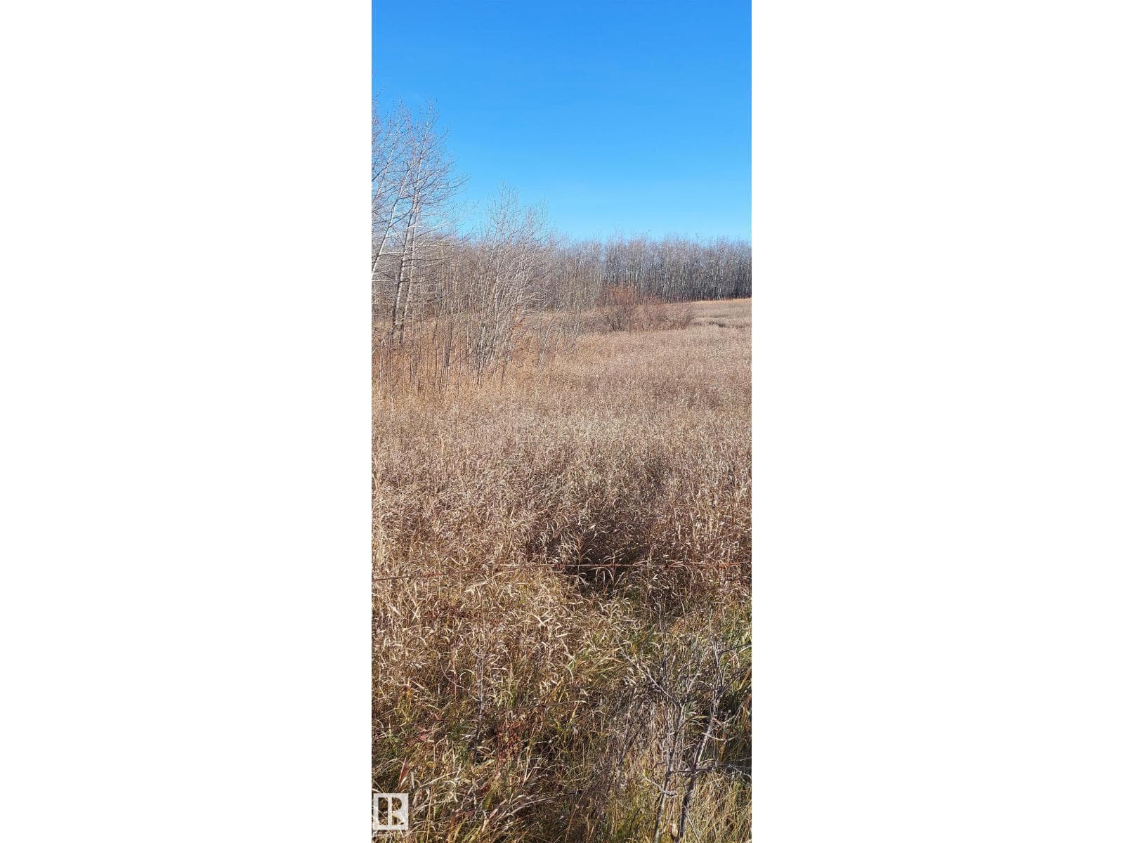 40 23429 584 twp RD — photo 4