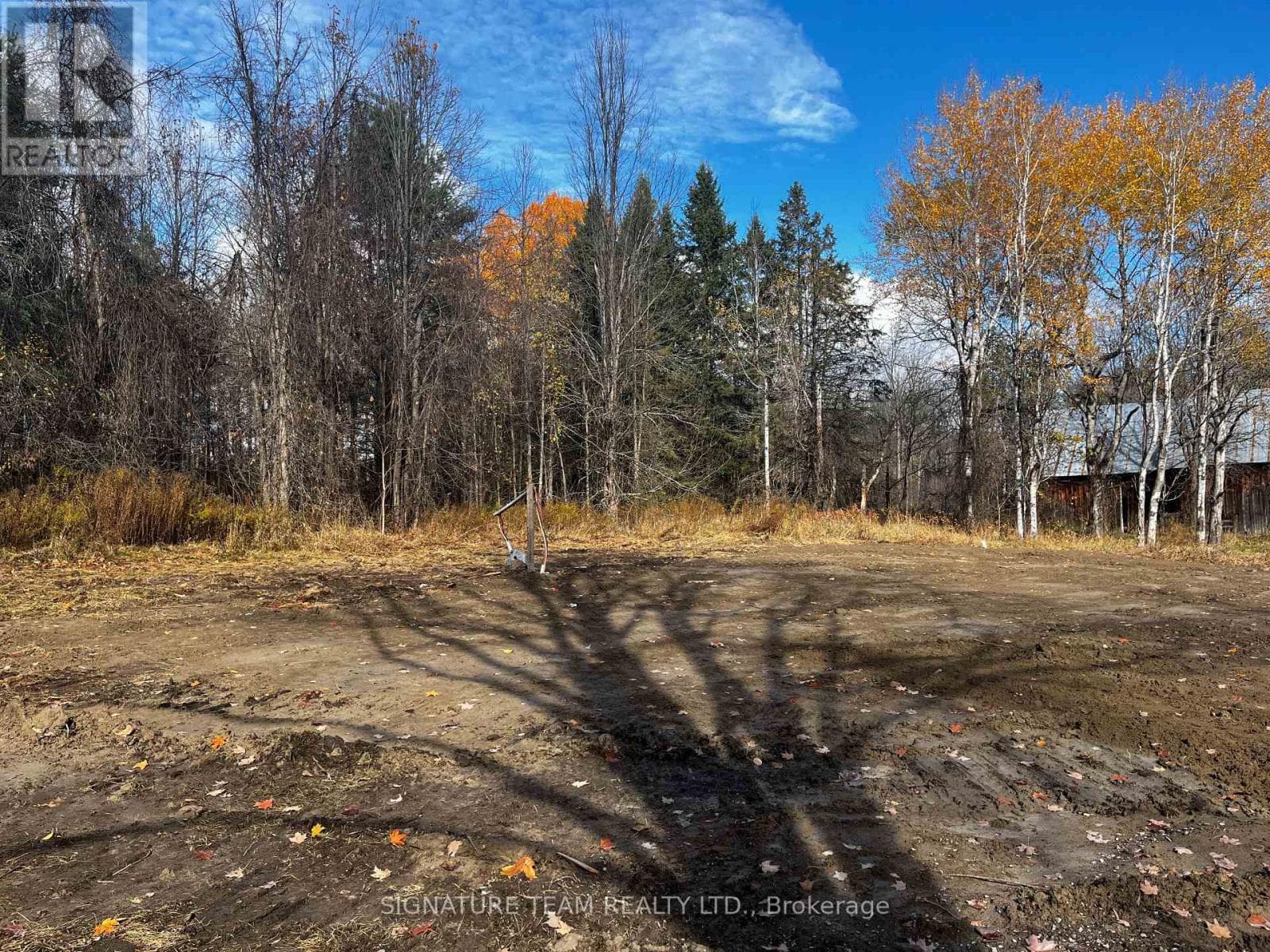 482 BELLAMY ROAD photo 4