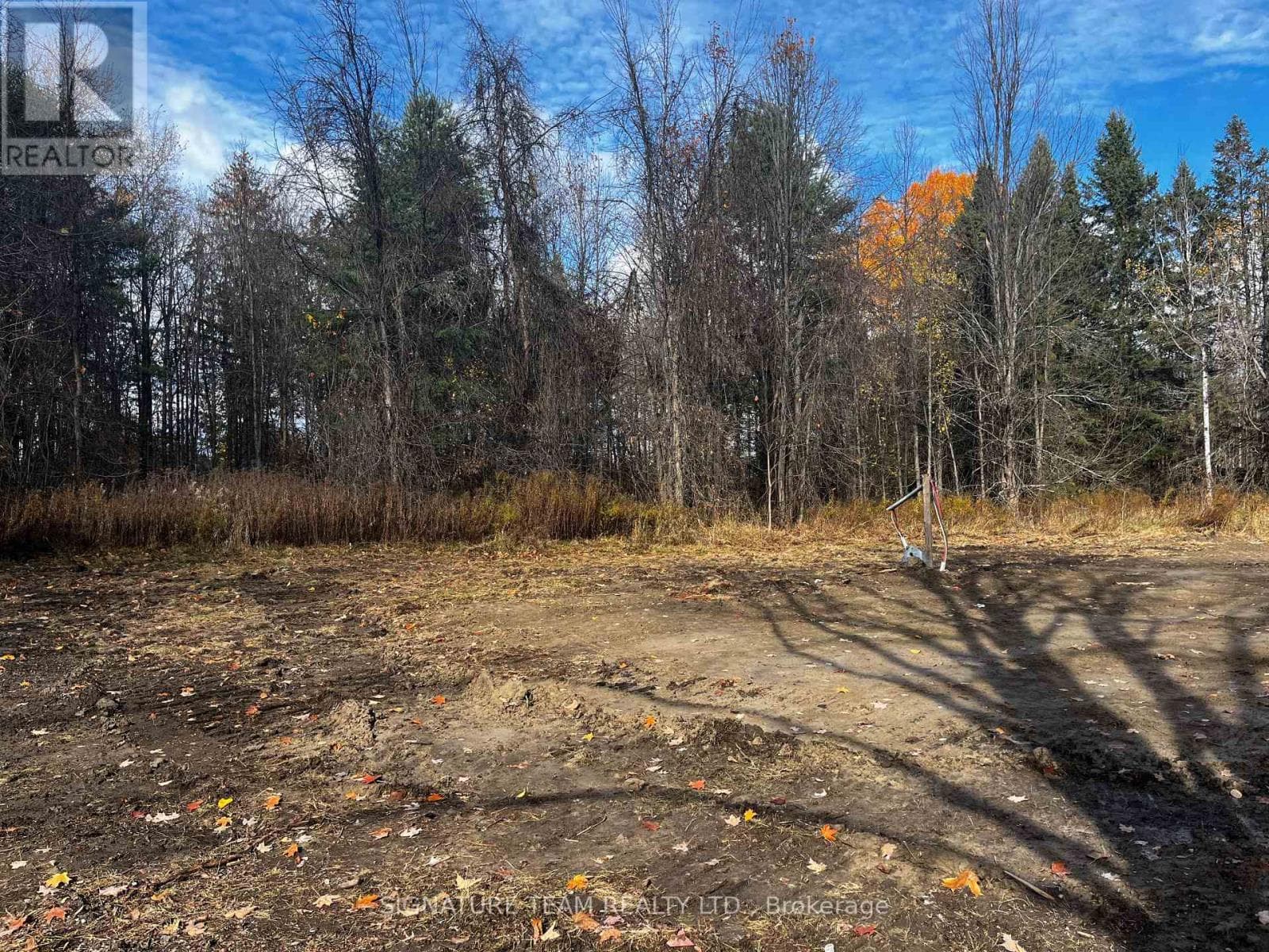 482 BELLAMY ROAD photo 5