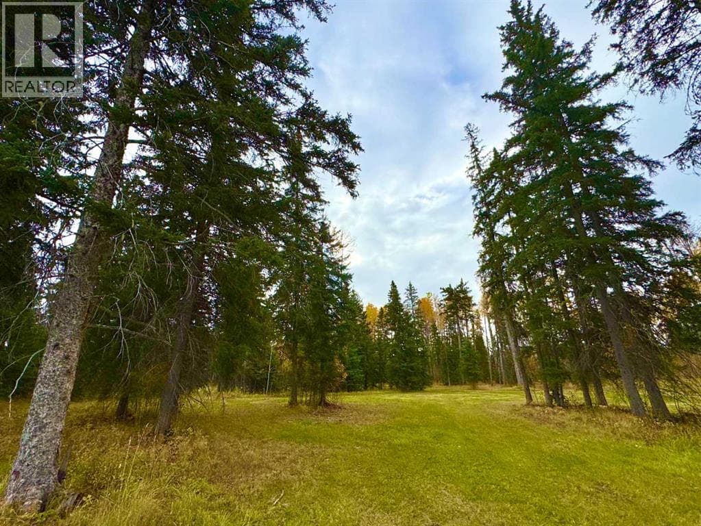 201 High Timber Place