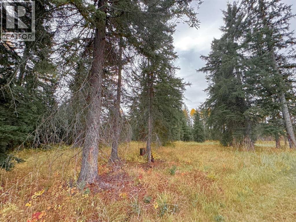 201 High Timber Place — photo 3
