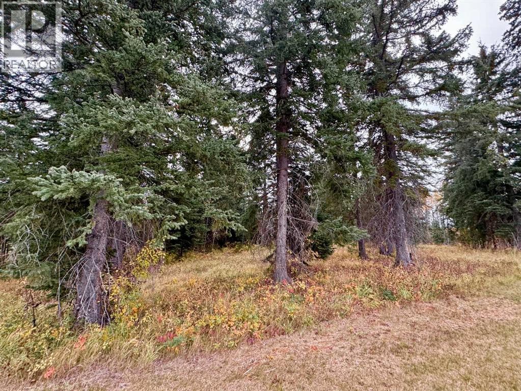 201 High Timber Place — photo 4