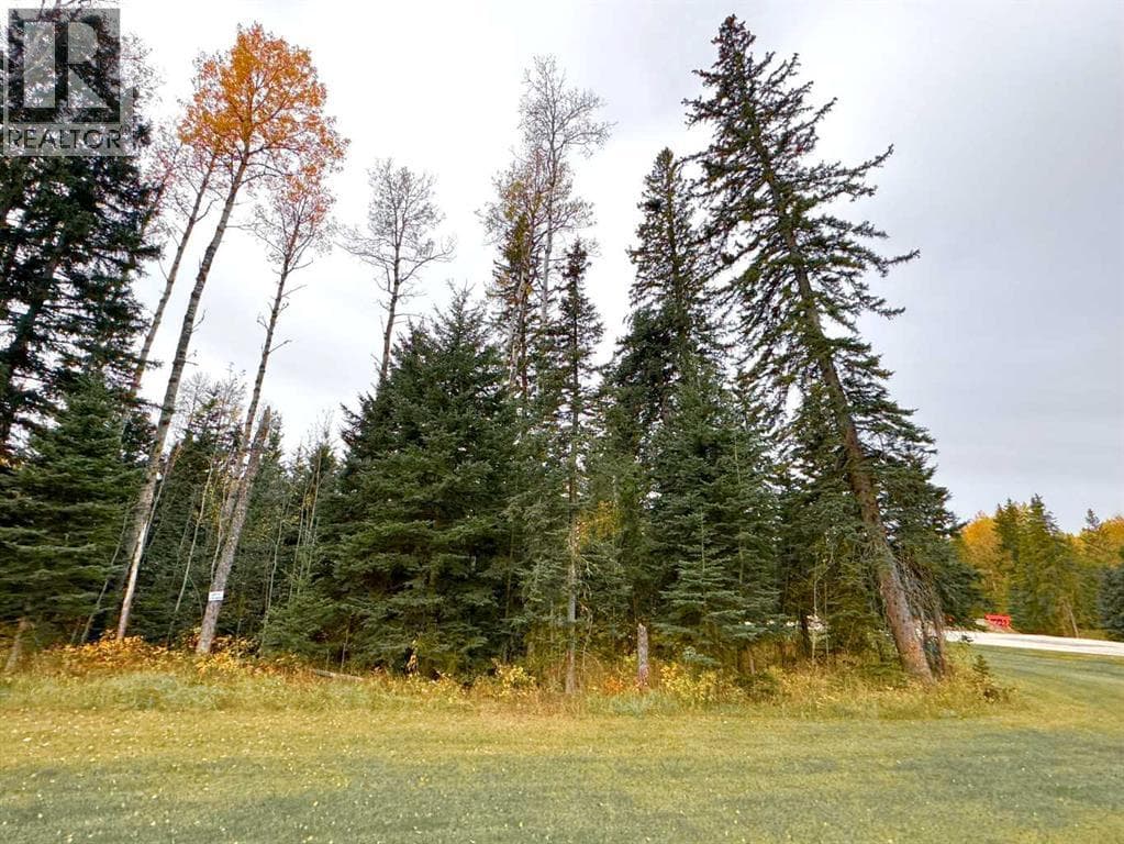 201 High Timber Place — photo 5