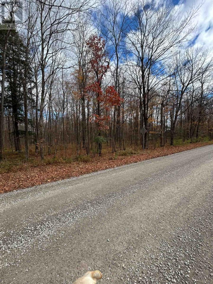 PT LT 17 KYLE ROAD photo 2