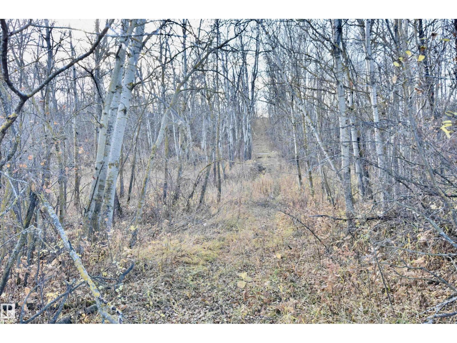 TWP RD 574 RR 93 — photo 3