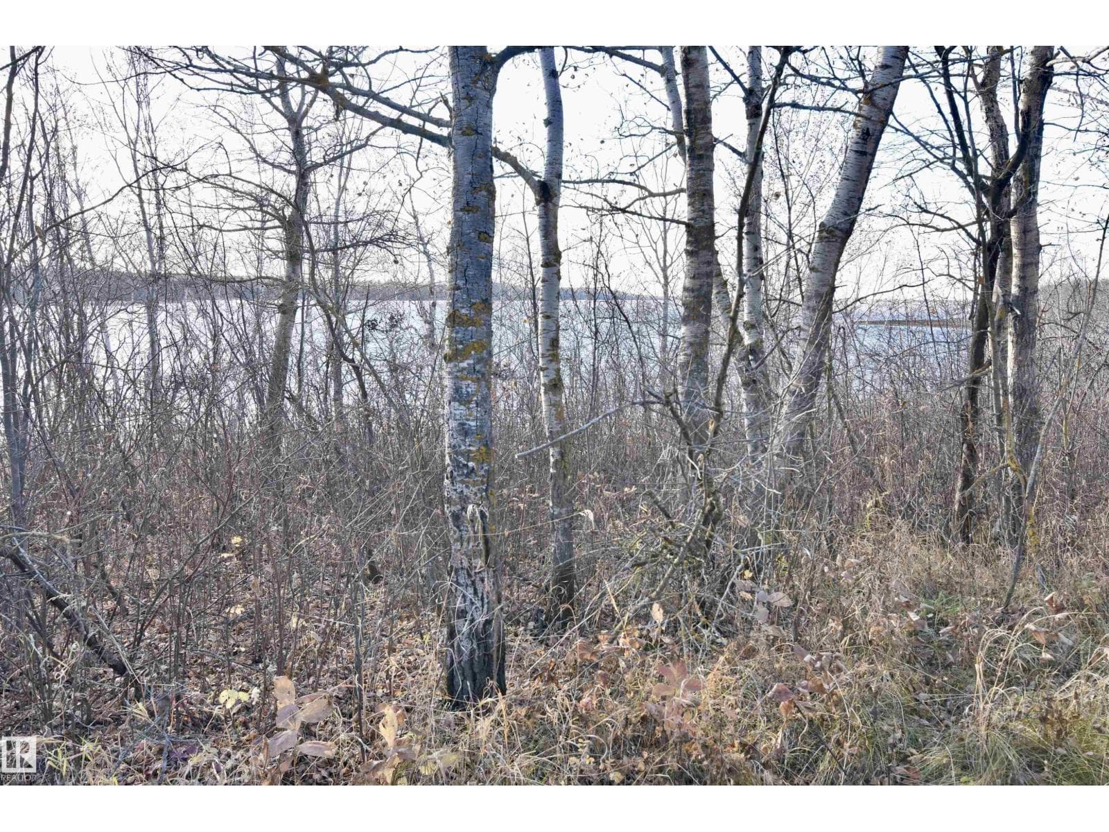 TWP RD 574 RR 93 — photo 4