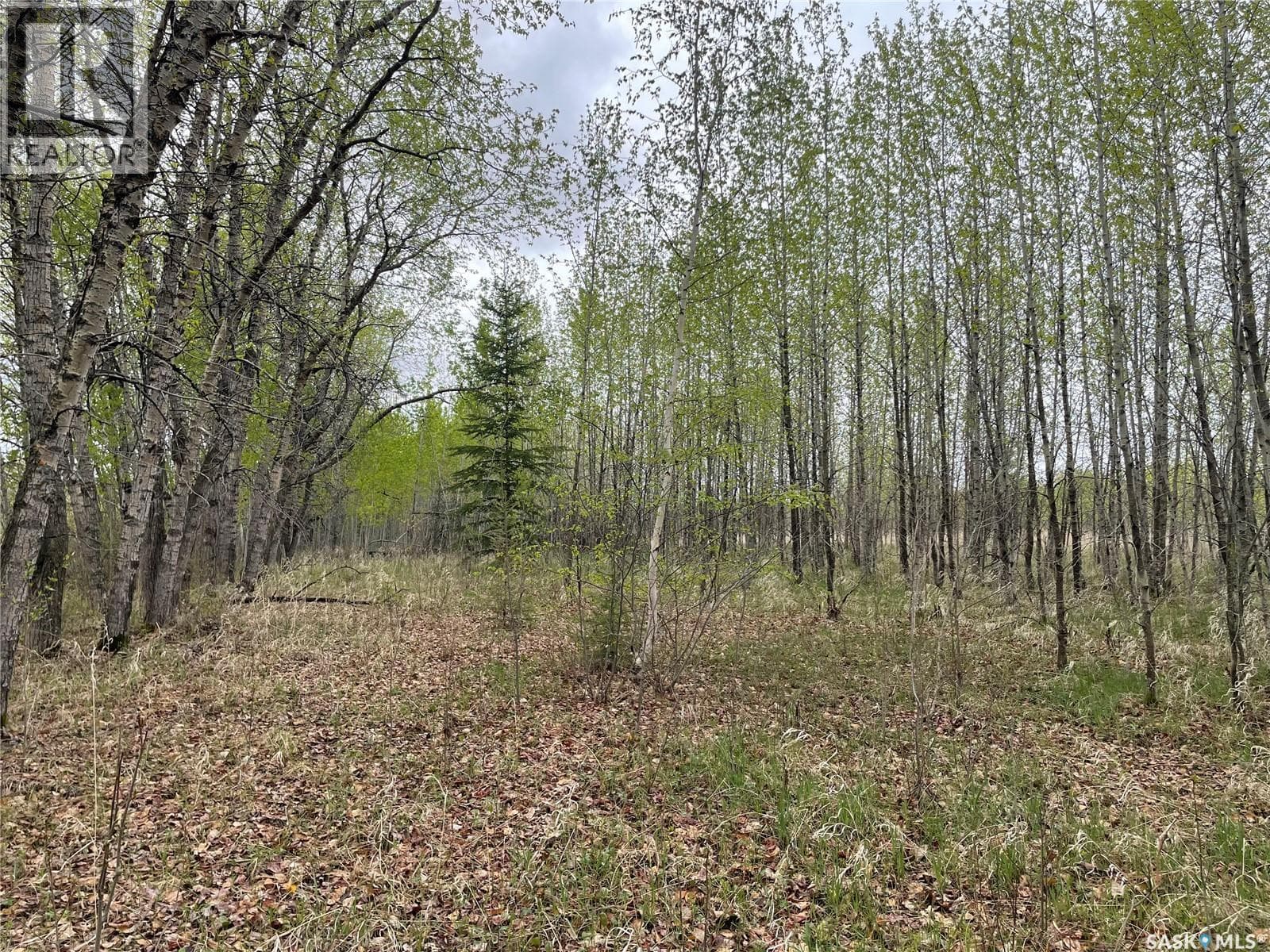 5.5km South of Dorintosh Lot 4 — photo 2