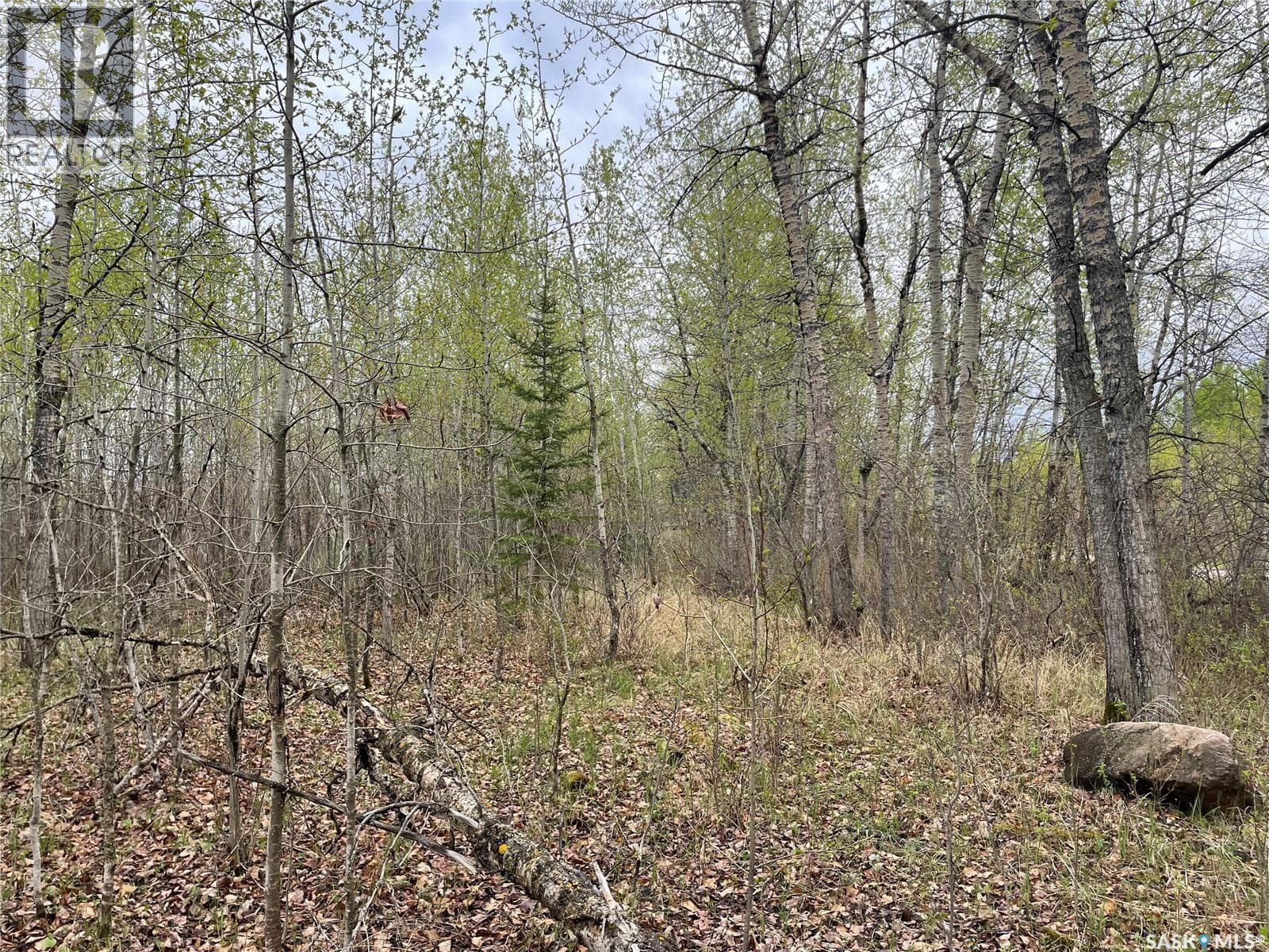 5.5km South of Dorintosh Lot 4 — photo 3