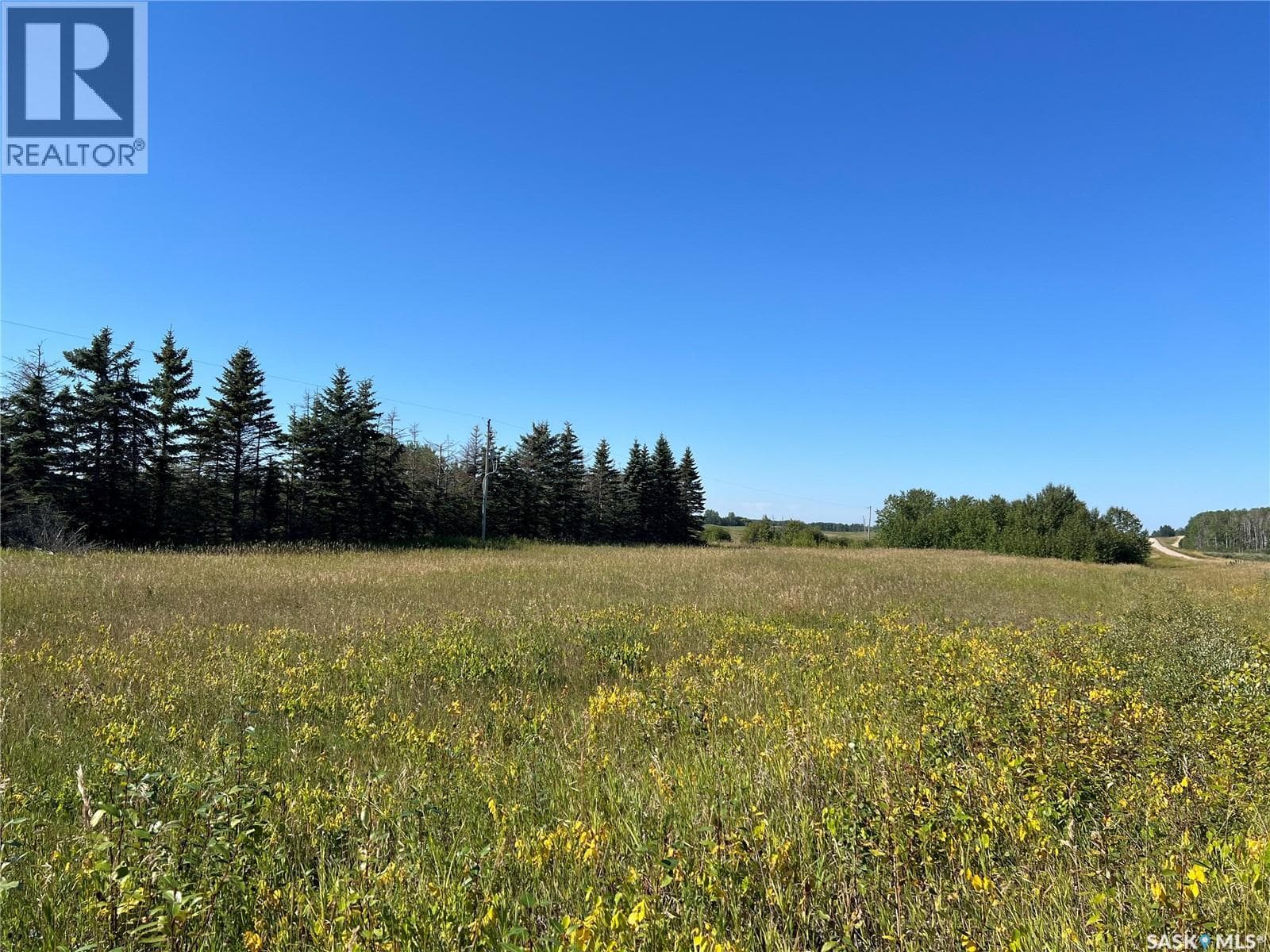 St Cyr RD 159 Acres — photo 2