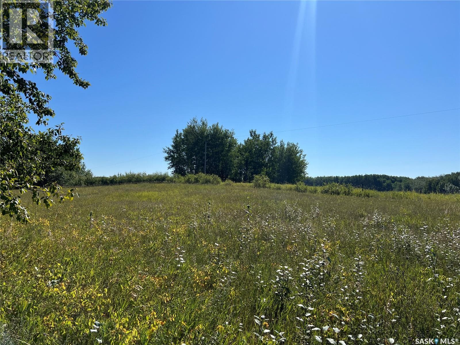 St Cyr RD 159 Acres — photo 3