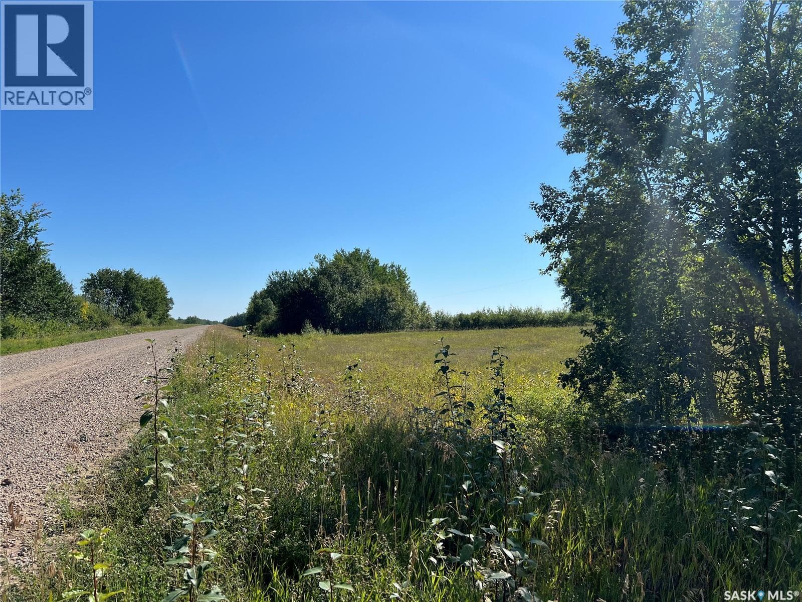 St Cyr RD 159 Acres — photo 4