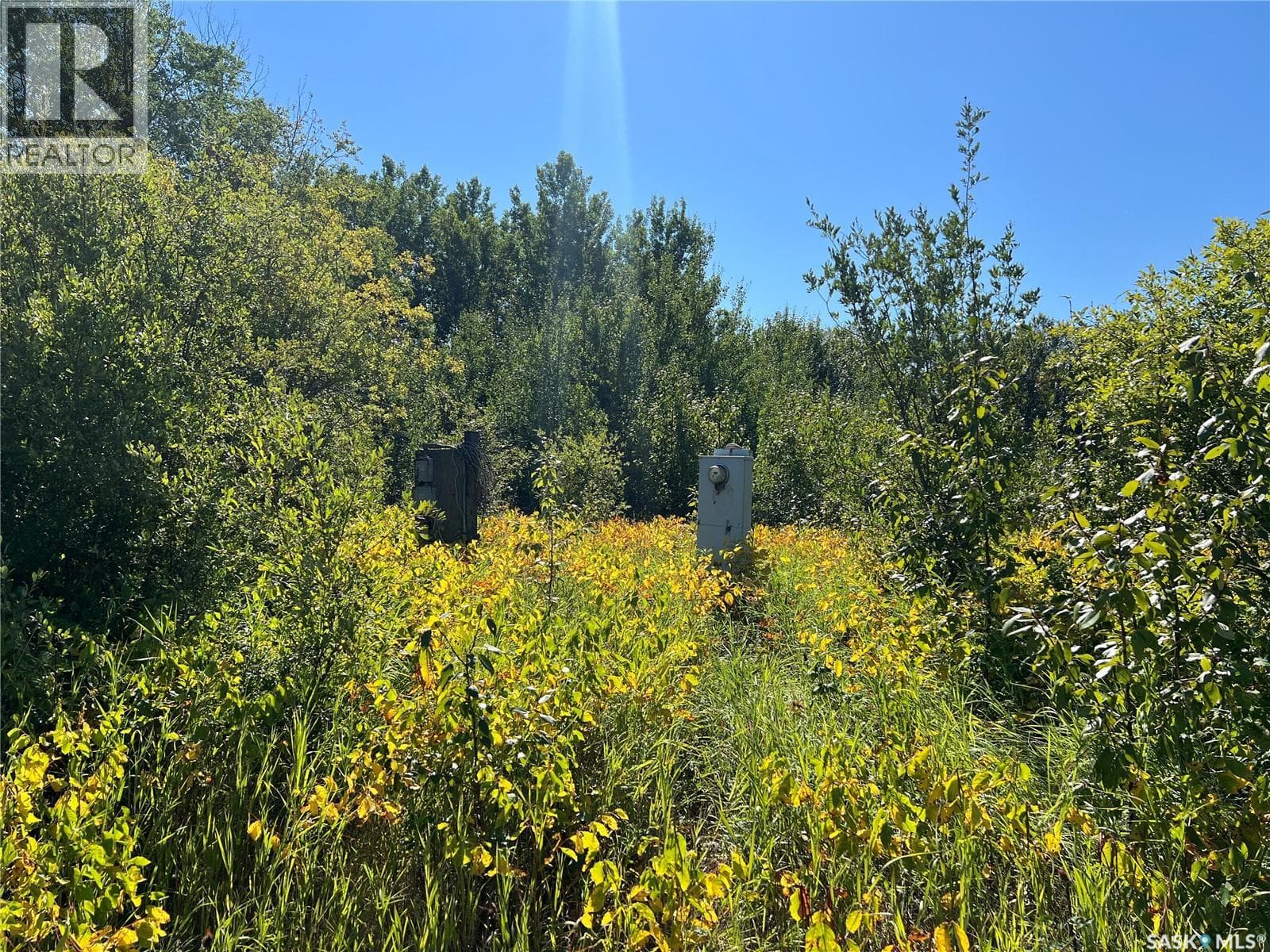 St Cyr RD 159 Acres — photo 5