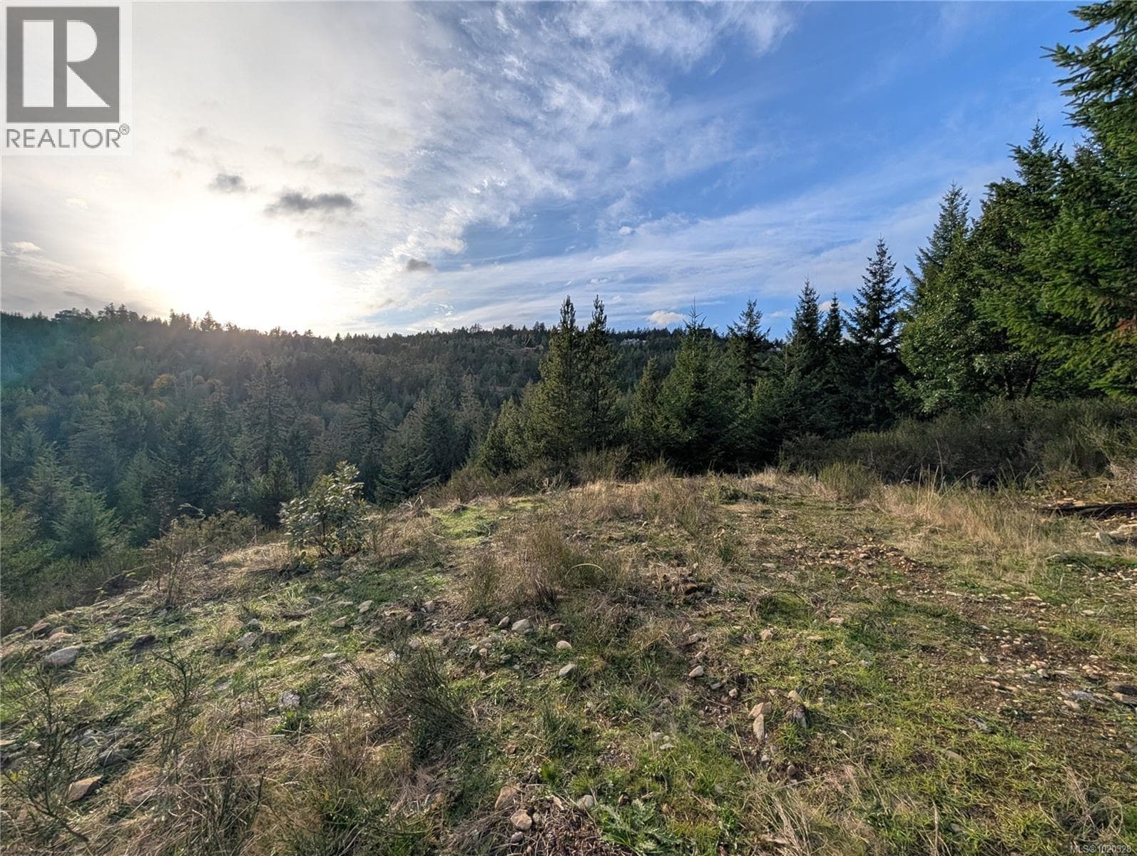 Lot 24 Eagle Dr photo 5