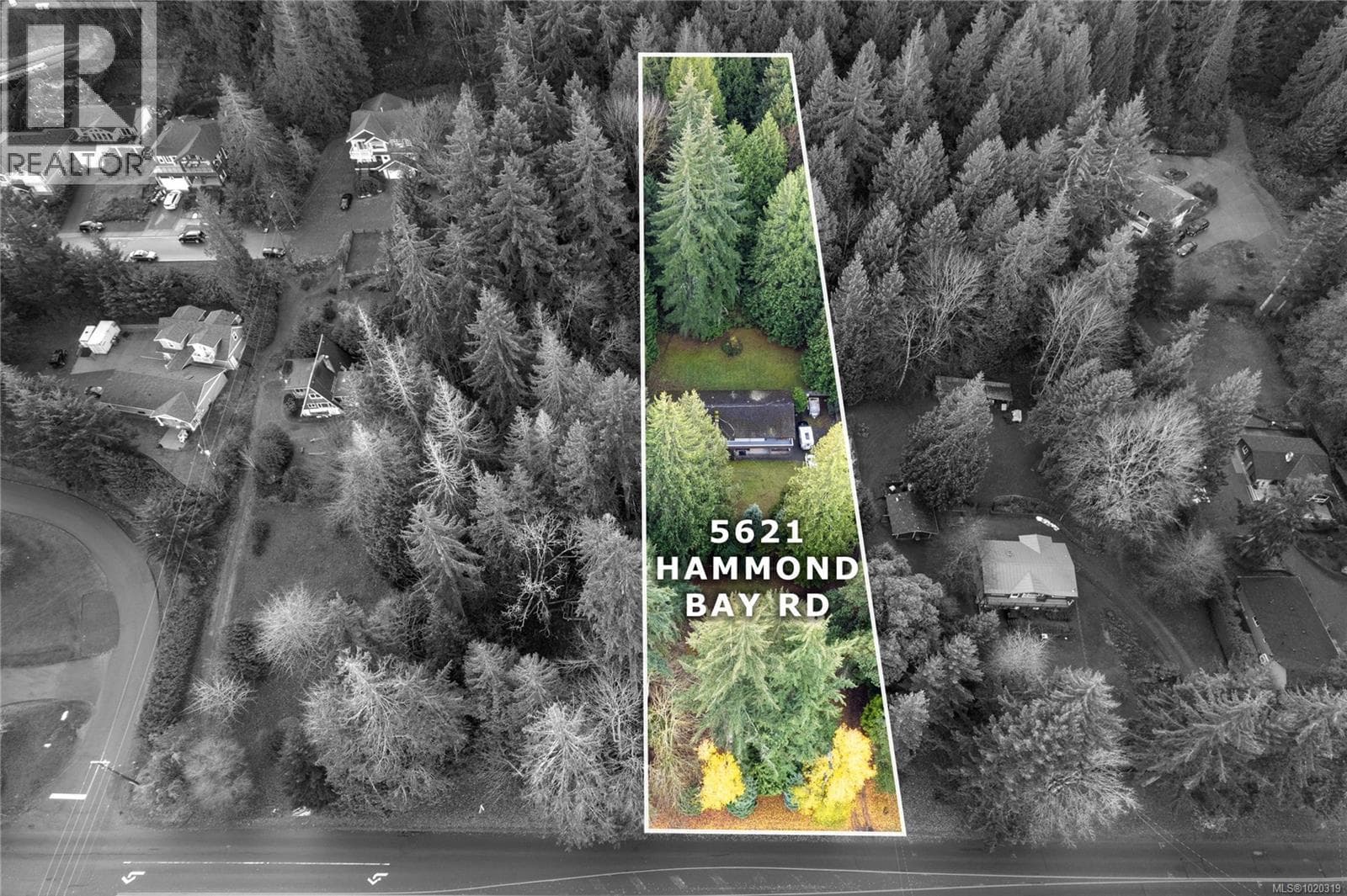5621 Hammond Bay Rd photo 2