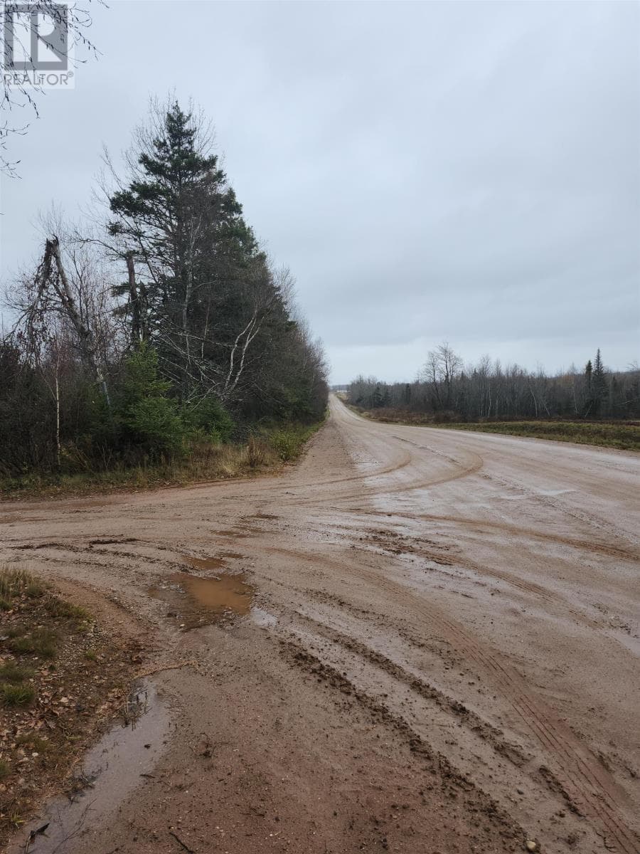 Acreage Campbells Road photo 3