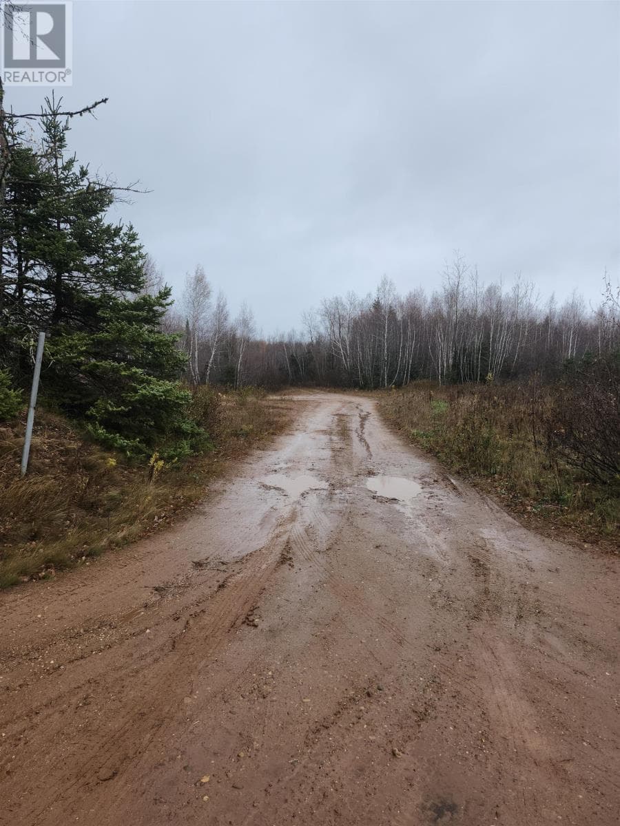 Acreage Campbells Road photo 4