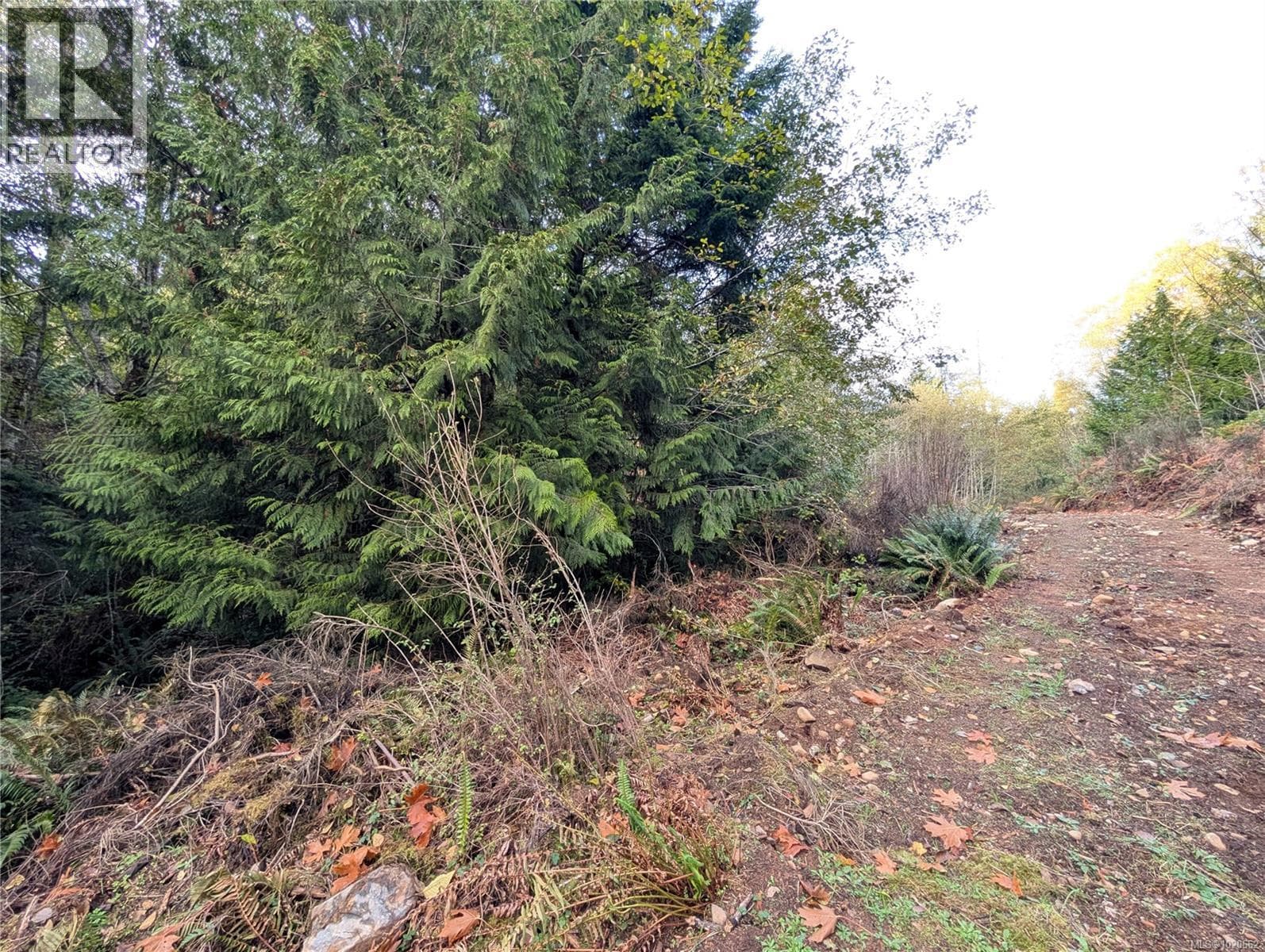 Lot 18 Eagle Dr photo 3