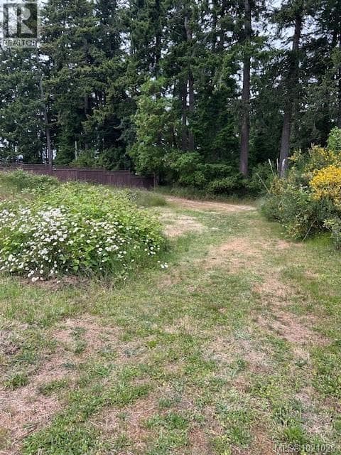 3857 Duke Rd photo 5