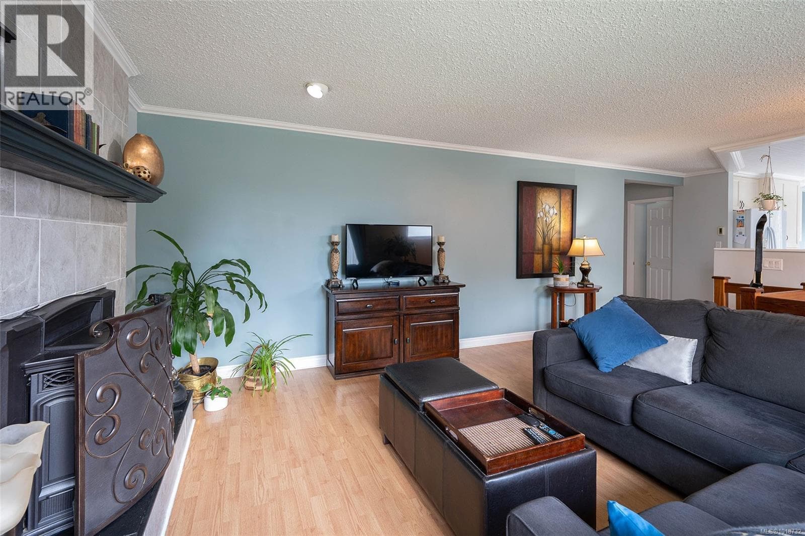 10654 Youbou Rd photo 3