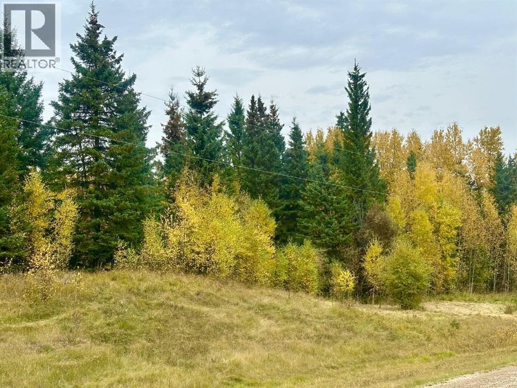 Lot 1 Mountain Springs — photo 3