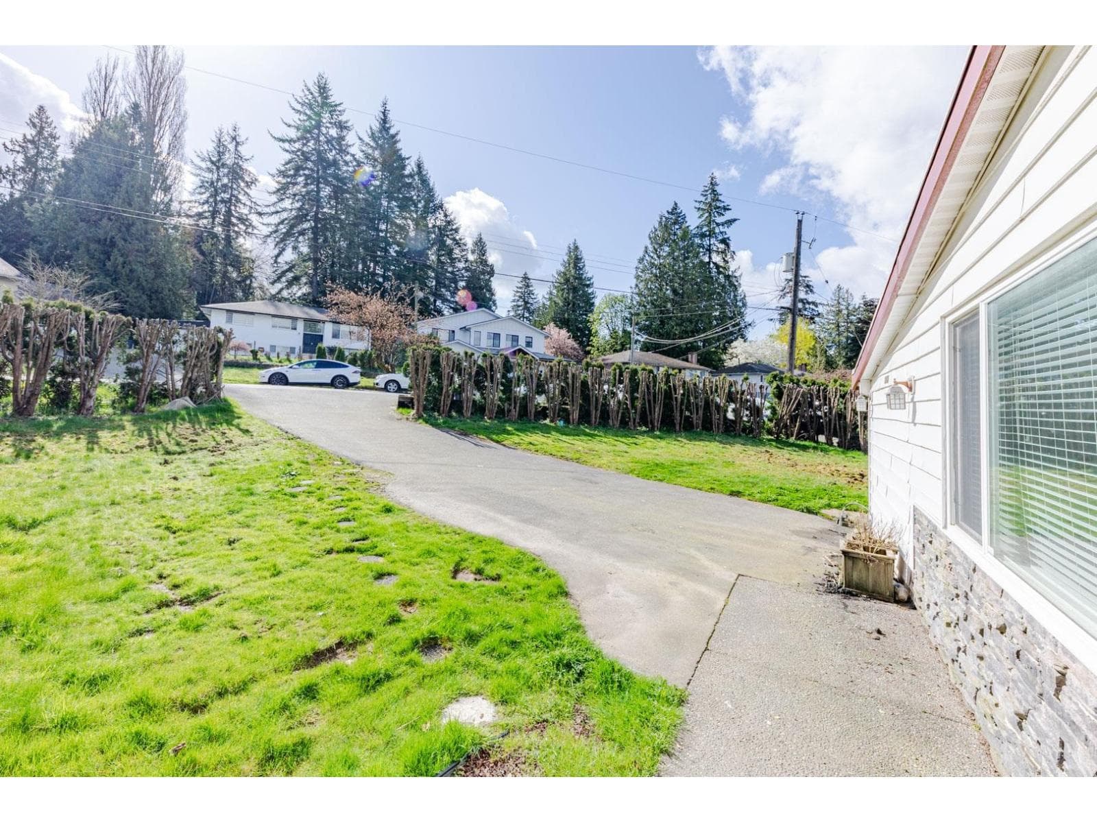 11411 LOUGHREN DRIVE photo 4