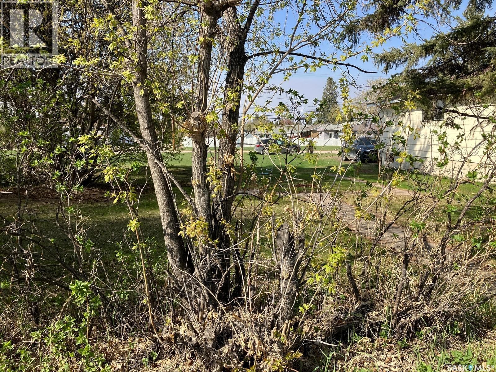 307 Nipawin ROAD E — photo 4