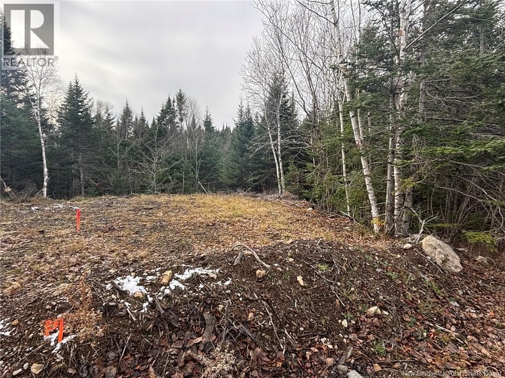 vacant land at 25-3 Spruce Lane — $29,000