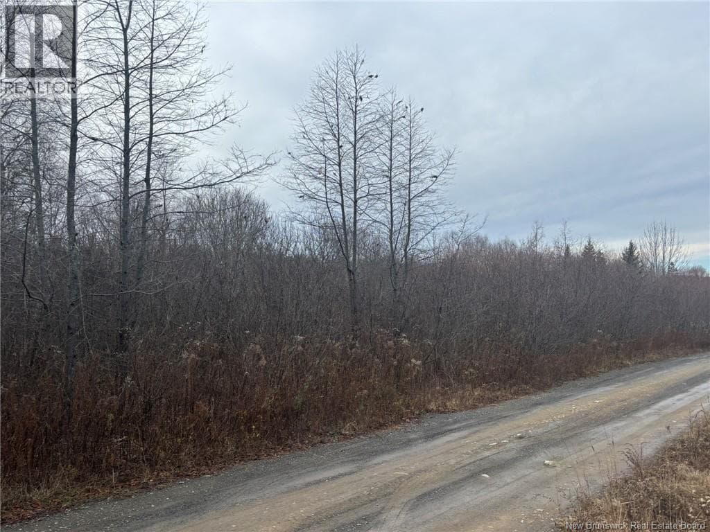 vacant land at 25-4 Spruce Lane — $29,000