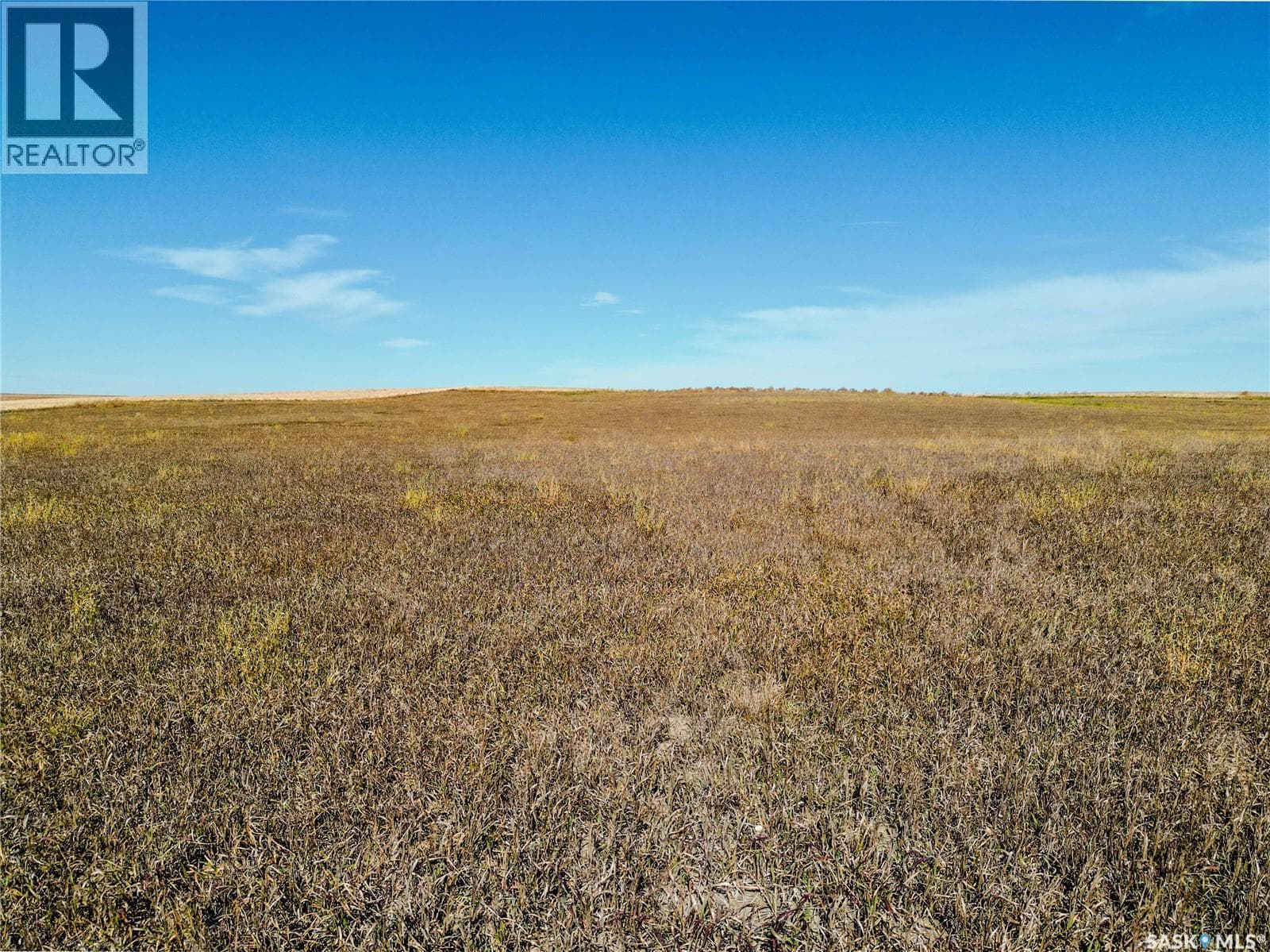 1 Quarter Near Gravelbourg, SK (Laflamme) — photo 4