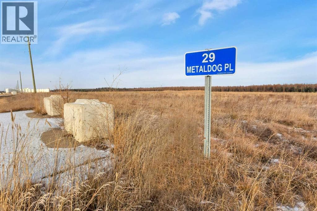 29 METALDOG Place
