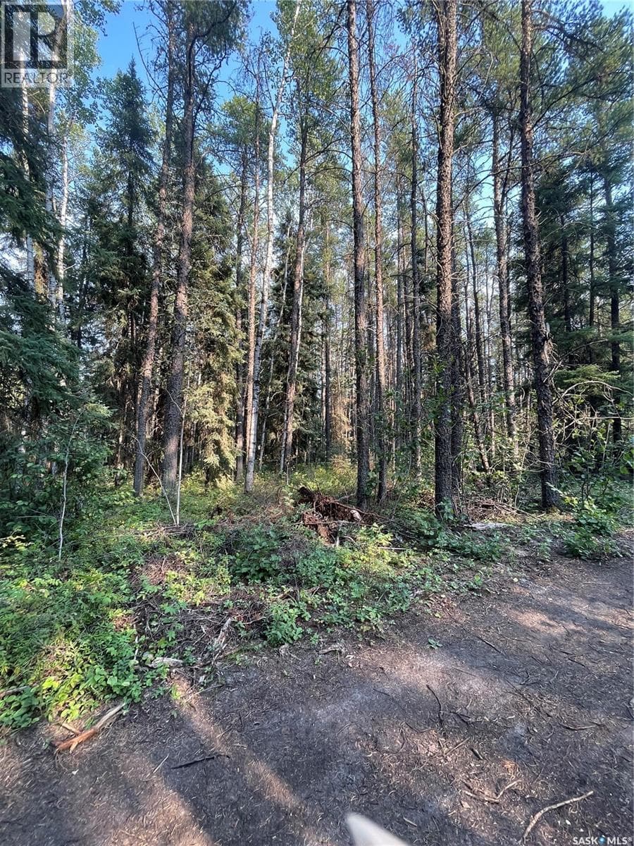 5.22 acre lot — photo 3
