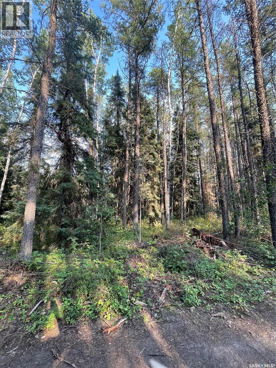 5.22 acre lot — photo 4