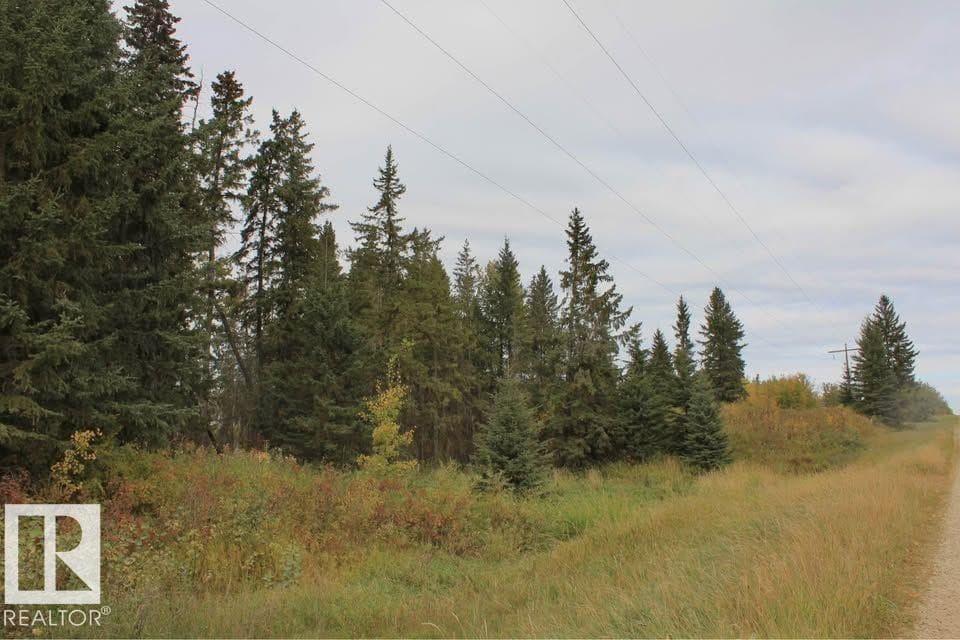 49454 Range Road 241 photo 3