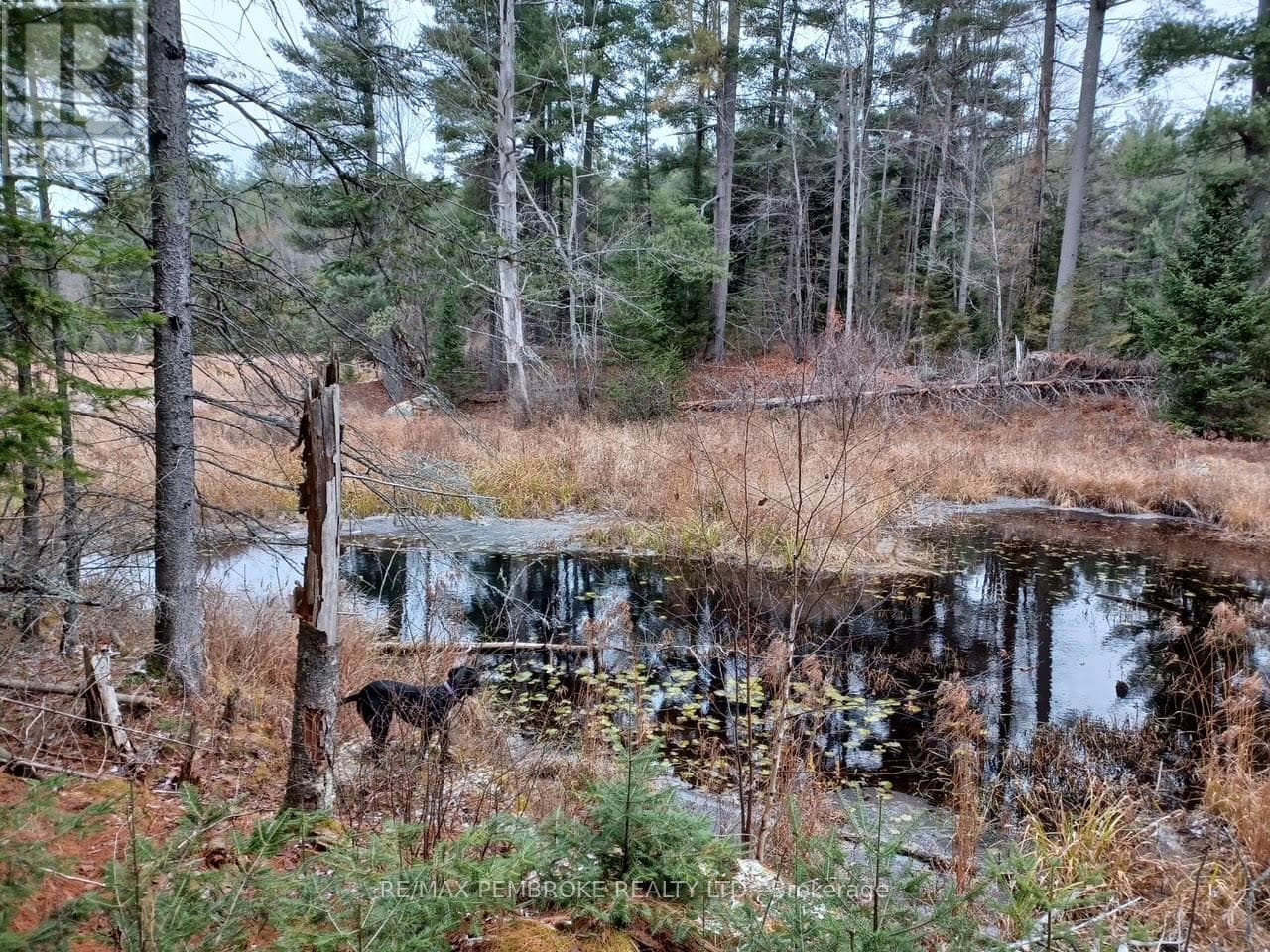 1678 LOCKSLEY ROAD photo 5