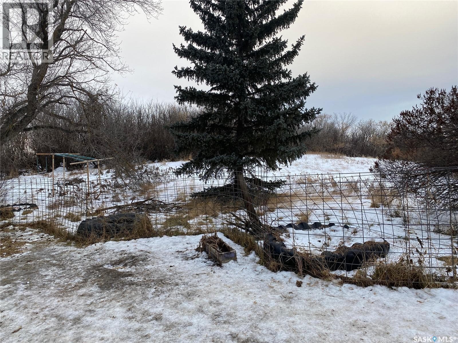 Kippen Farm photo 4