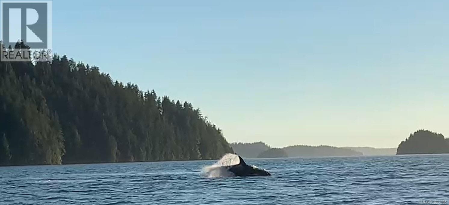 LOT 2 Nootka Island photo 5