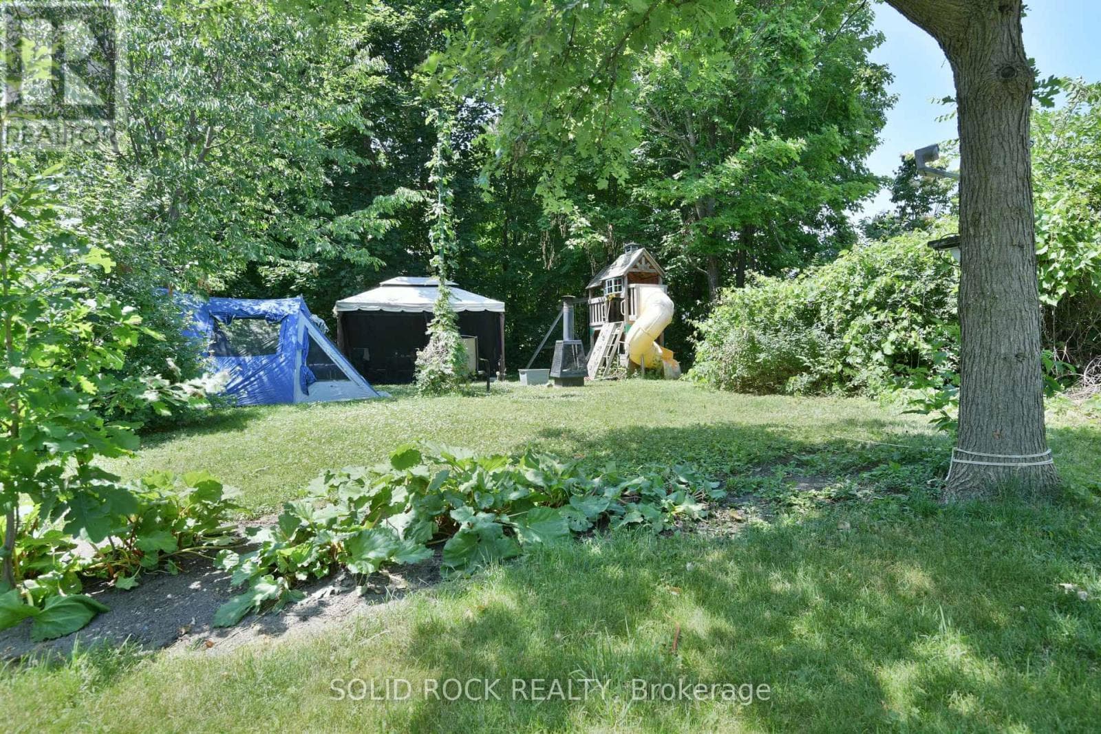 54 WILLIAM STREET W photo 2