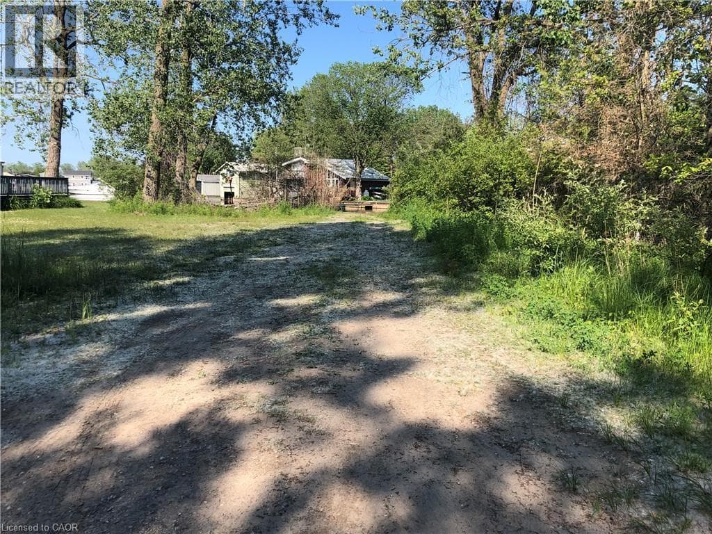 23 OLD CUT Boulevard photo 5