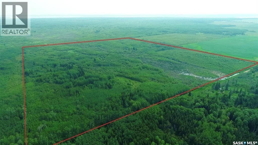 Recreational quarter of land N-E of White Fox — photo 3