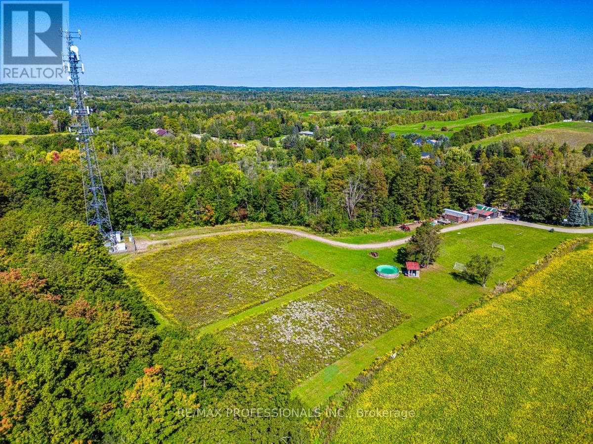 13908 TRAFALGAR ROAD photo 3