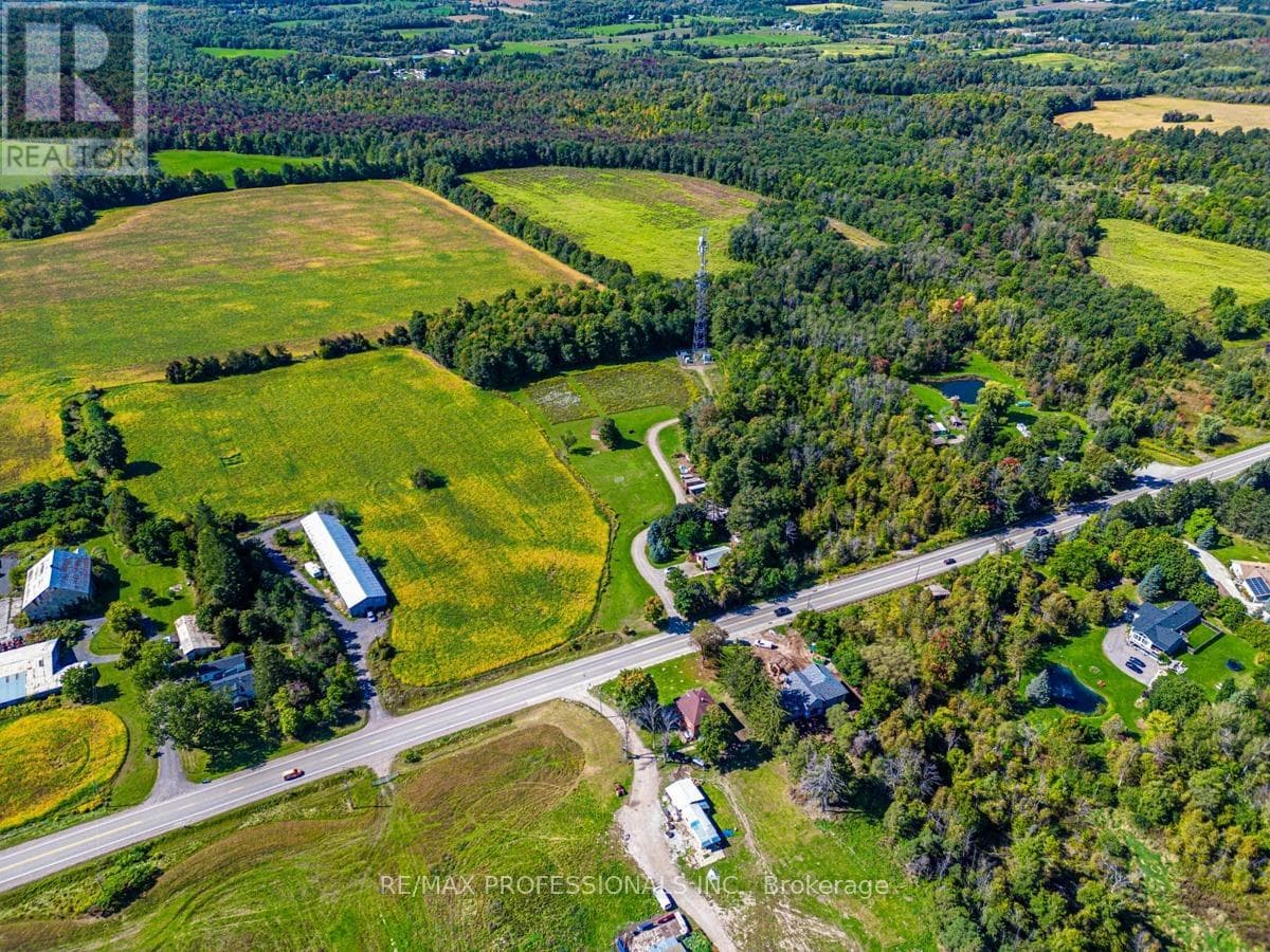 13908 TRAFALGAR ROAD photo 4