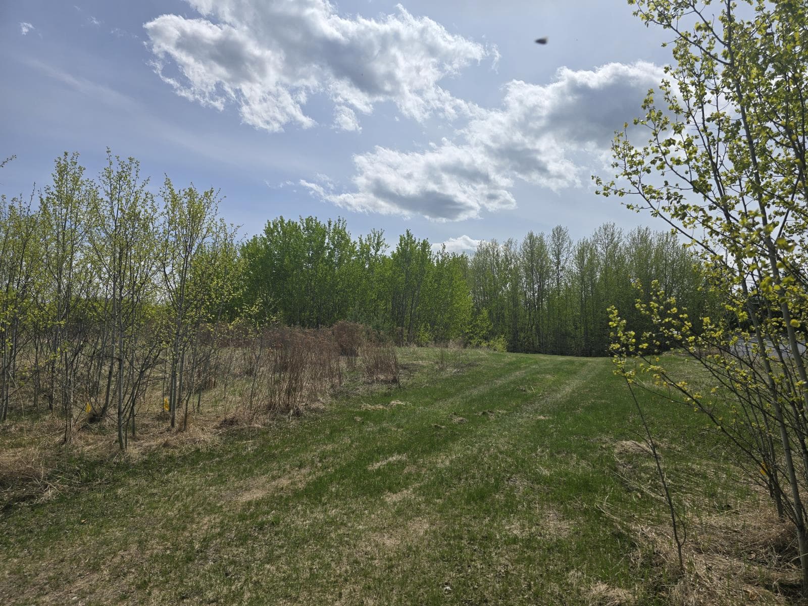 487 LAKESIDE Drive — photo 3