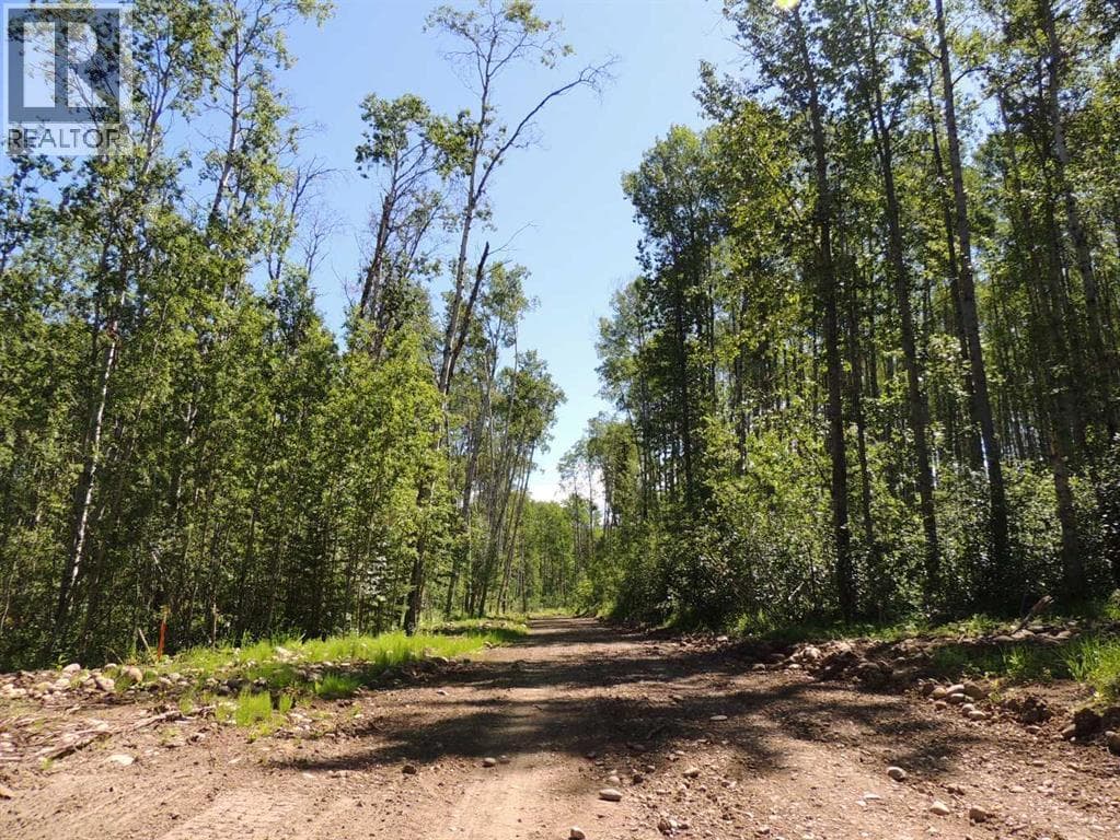 Lot 23, Wapiti River SW-21-69-10-W6 — photo 3