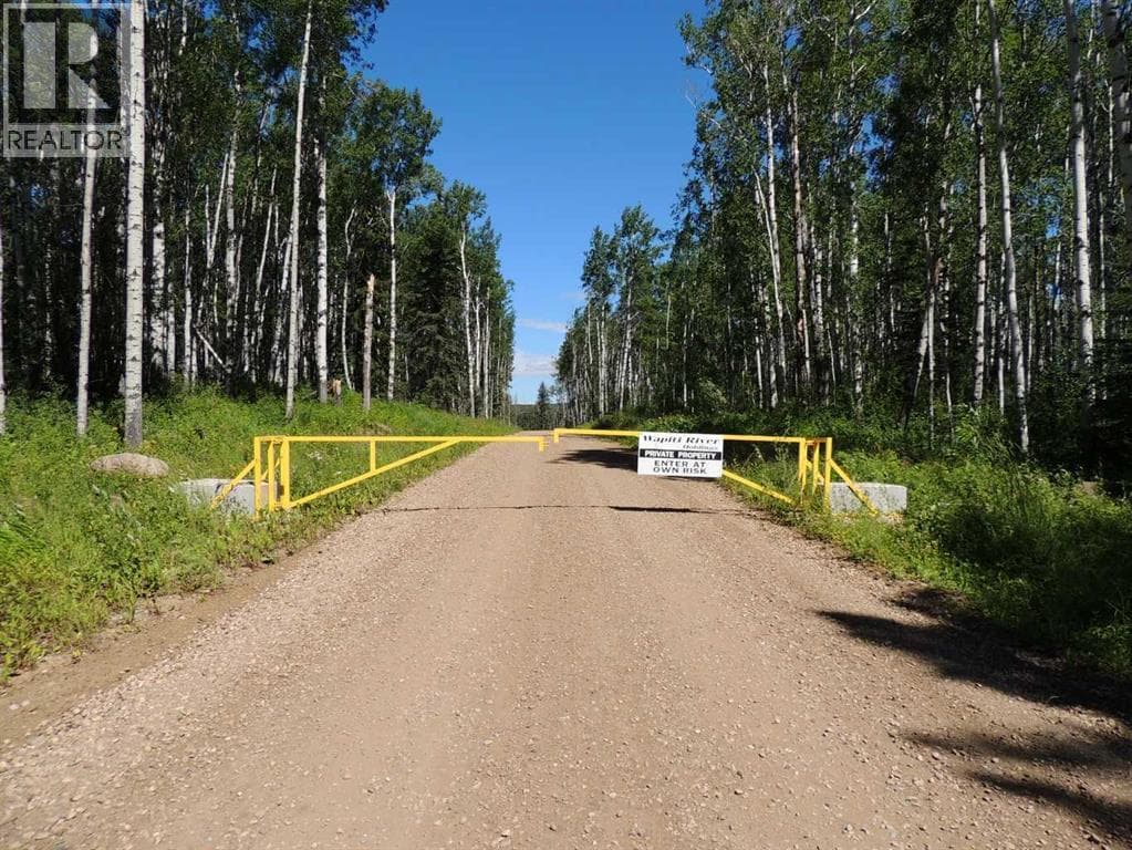 Lot 25, Wapiti River SW-21-69-10-W6 — photo 2