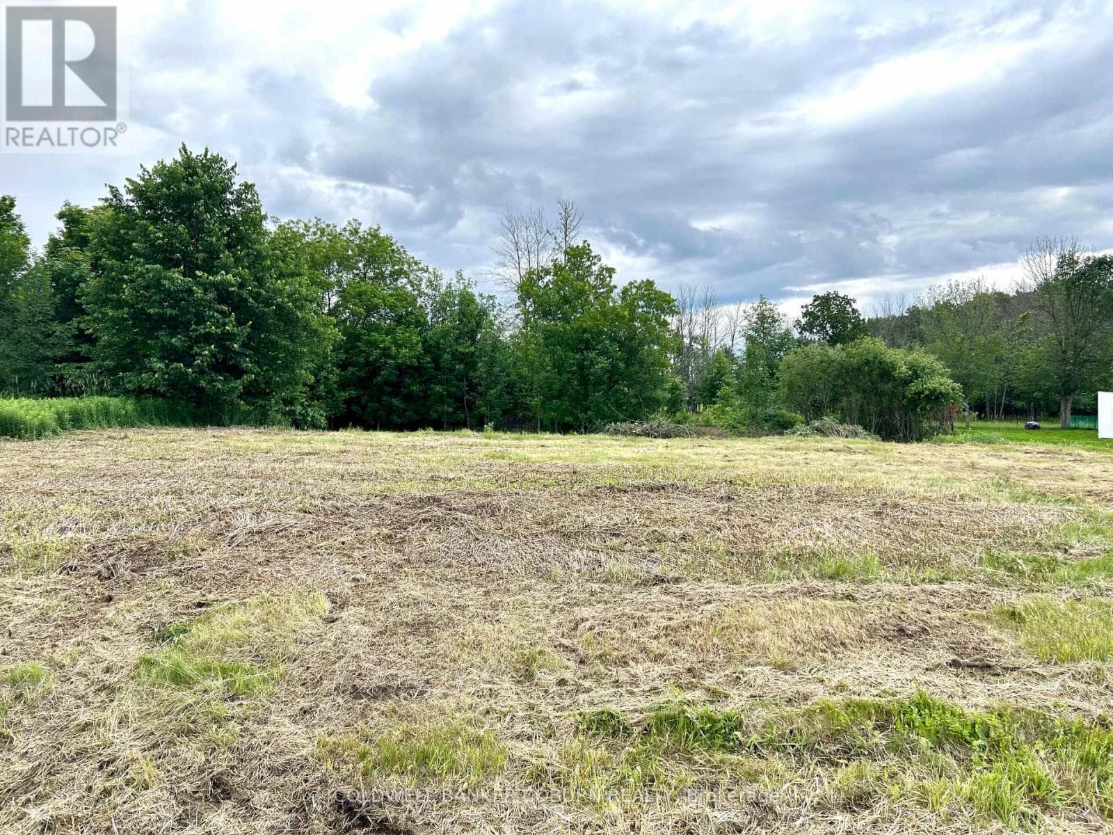11880 COUNTY ROAD 18 ROAD photo 4