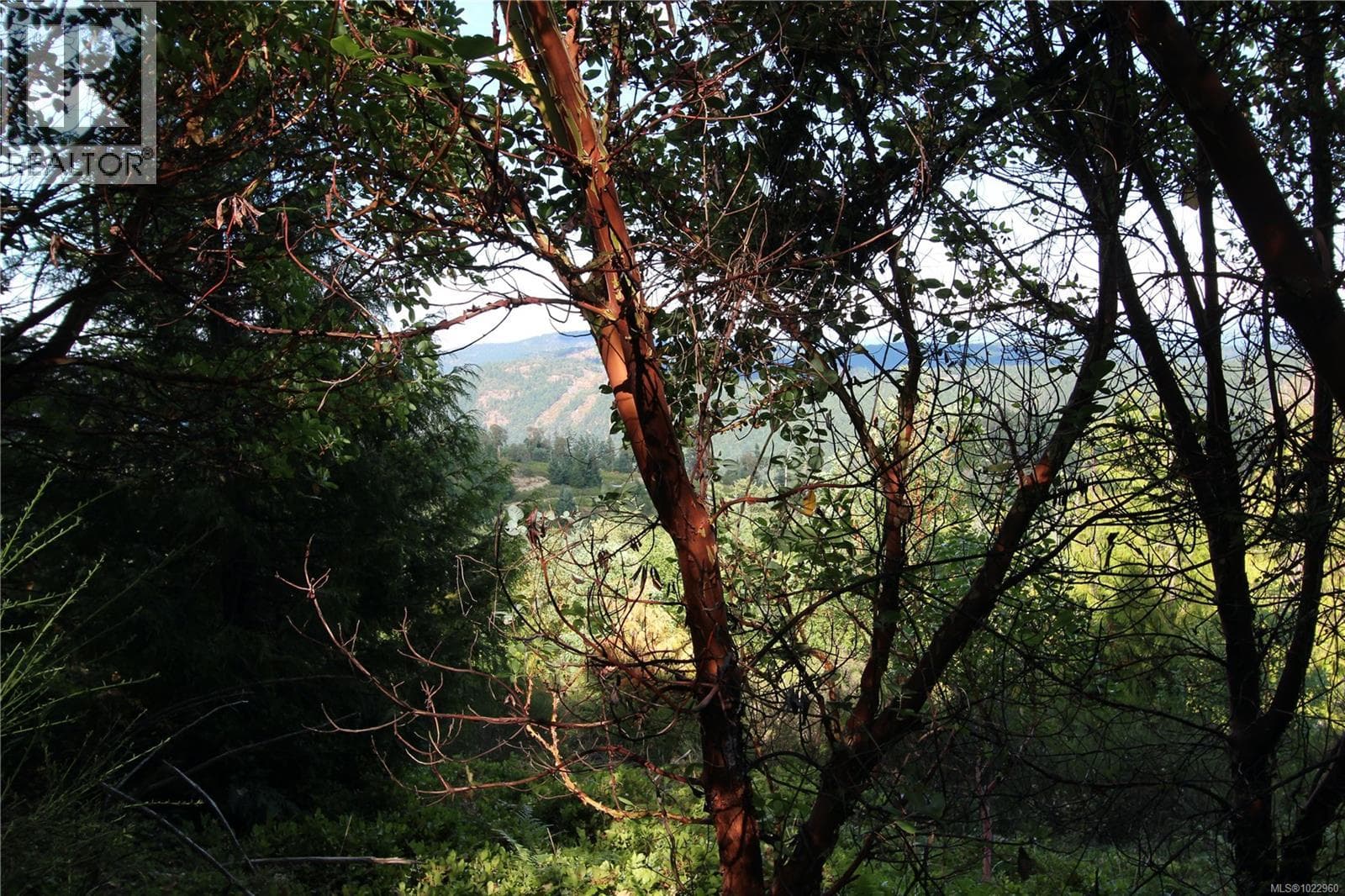 vacant land at Lot 29 Goldstream Heights Dr — $512,000