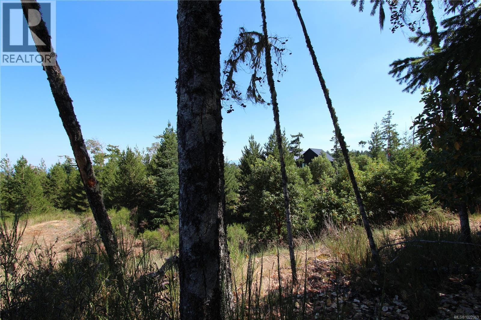 LOT 35 Goldstream Heights Dr photo 2
