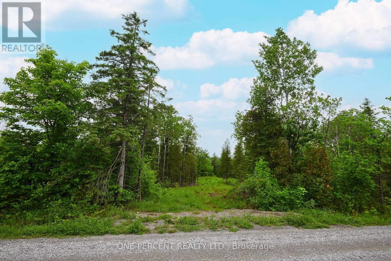 622 KINGS CREEK ROAD photo 3