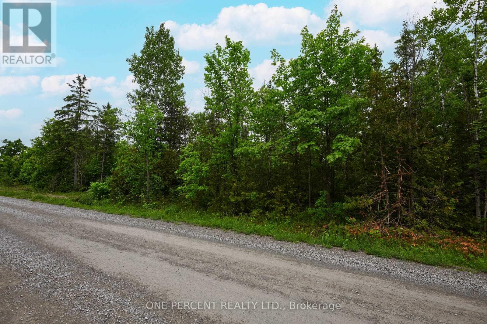 622 KINGS CREEK ROAD photo 5